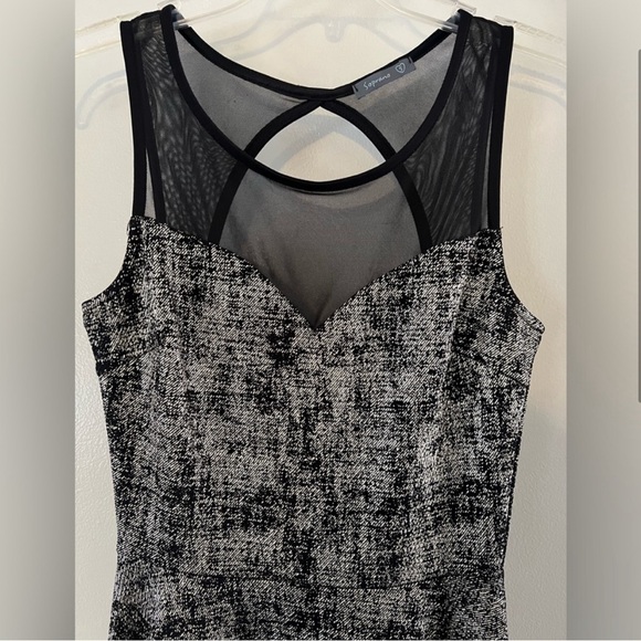 Black and Silver Sheer Top Dress - Picture 2 of 5